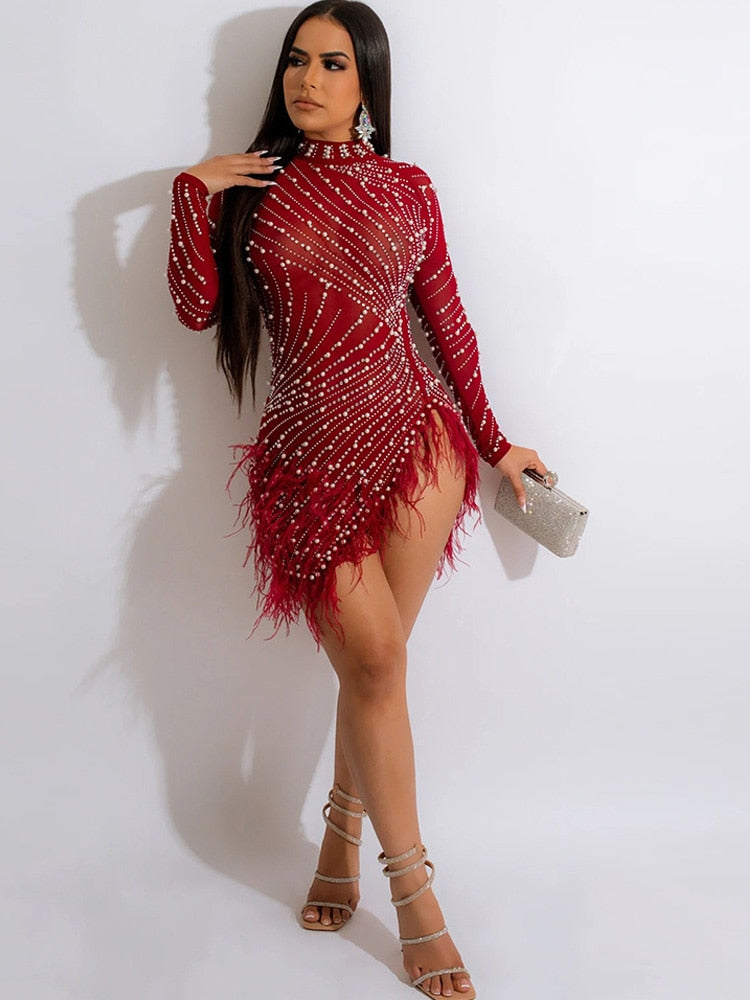 Women Fringe Sequine Feather Bodyco Dress